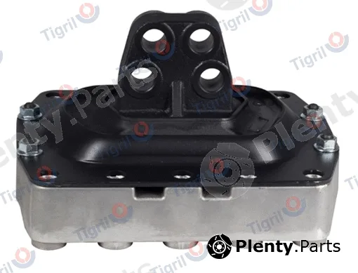 Tigril VO01.0009 — Mounting, engine