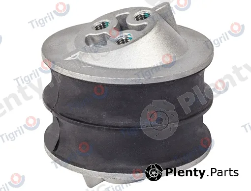 Tigril SC01.0013 — Mounting, engine