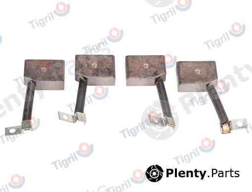 Tigril VO01.0028 — Carbon Brush, starter