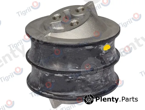 Tigril SC01.0012 — Mounting, engine