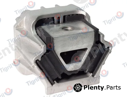 Tigril DB04.0010 — Mounting, manual transmission
