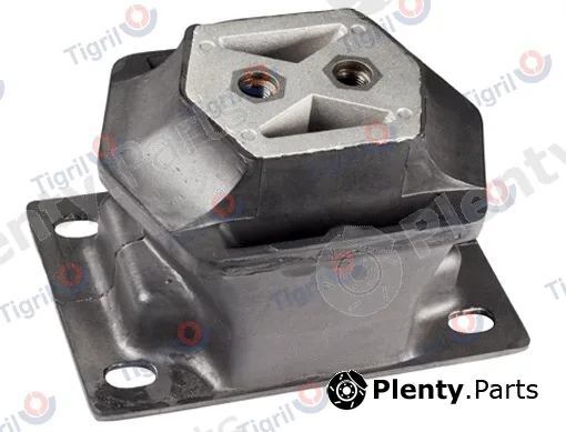 Tigril MA01.0002 — Mounting, engine