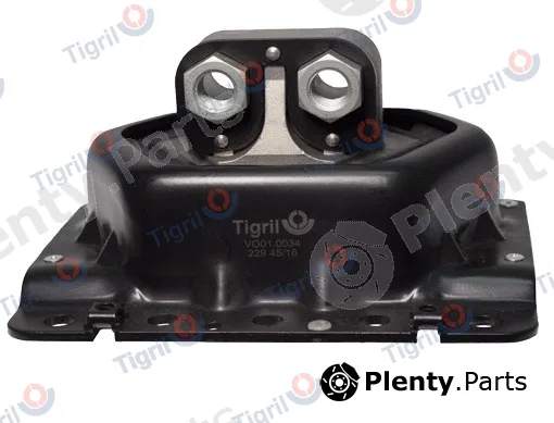 Tigril VO01.0034 — Mounting, engine
