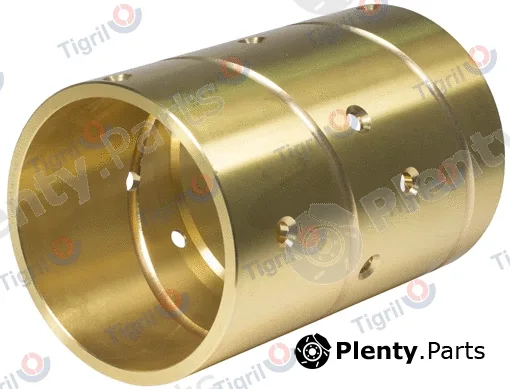 Tigril BP09.0019 — Bushing, leaf spring Bush, leaf spring (suspension) brass 8-12 T