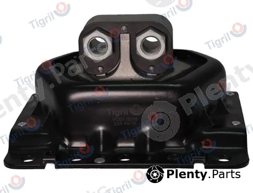 Tigril VO01.0035 — Mounting, engine