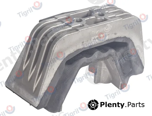 Tigril SC01.0001 — Mounting, engine
