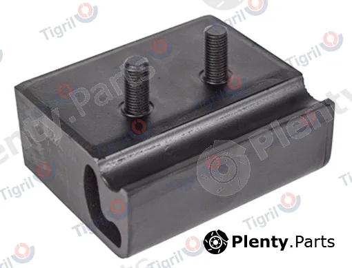 Tigril DB01.0080 — Mounting, engine