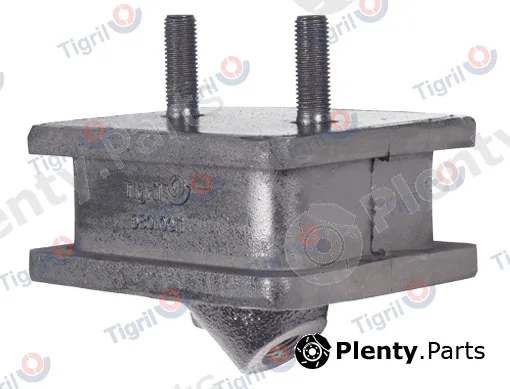Tigril DB01.0011 — Mounting, engine