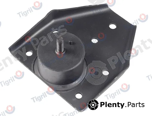 Tigril VO18.0001 — Mounting, radiator
