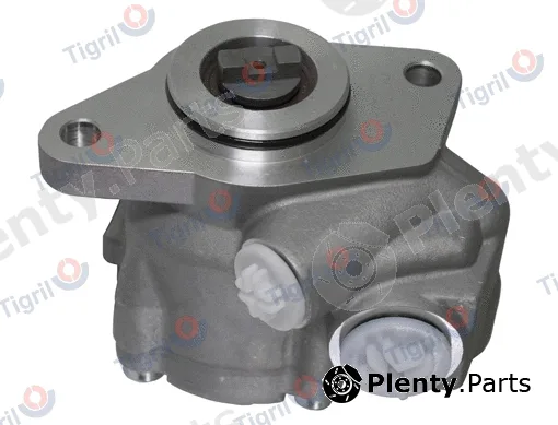 Tigril DB07.0018 — Hydraulic Pump, steering Power steering pump 100 bar