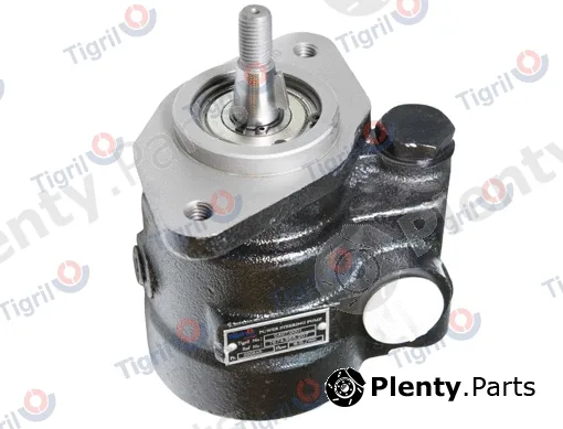 Tigril DA07.0001 — Hydraulic Pump, steering Power steering pump 000 bar