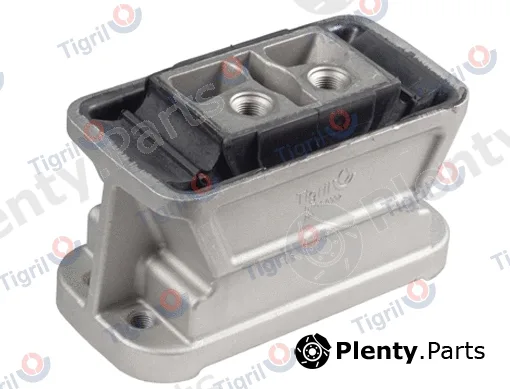Tigril DB01.0002 — Mounting, engine