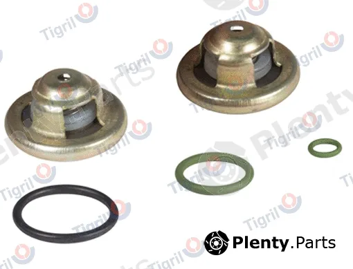 Tigril DB01.0045 — Repair Kit, distributor