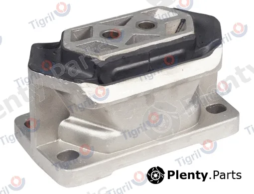 Tigril MA01.0001 — Mounting, engine