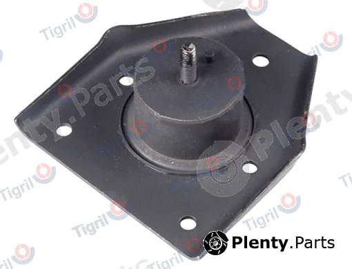 Tigril VO18.0002 — Mounting, radiator