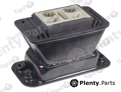 Tigril DB01.0004 — Mounting, engine