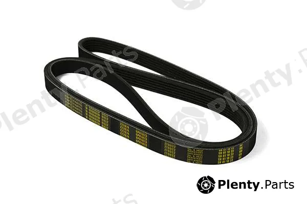 zentparts Z22674 — V-Ribbed Belt