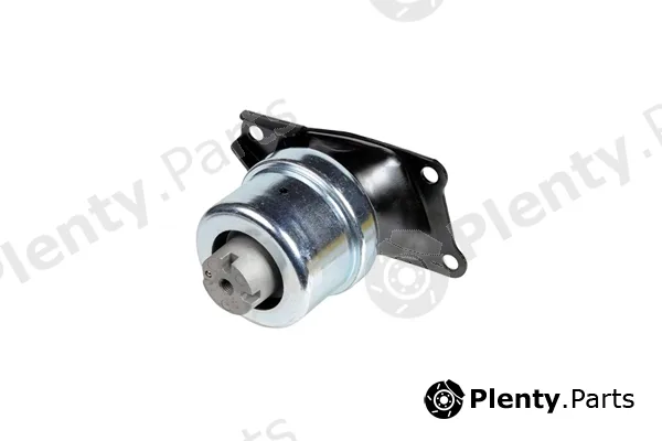 zentparts Z13387 — Mounting, engine