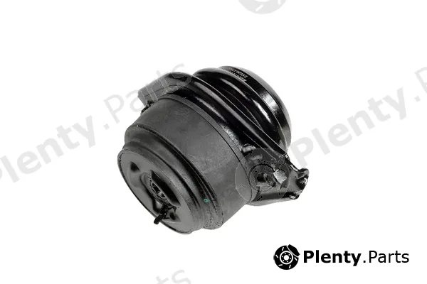 zentparts Z13330 — Mounting, engine