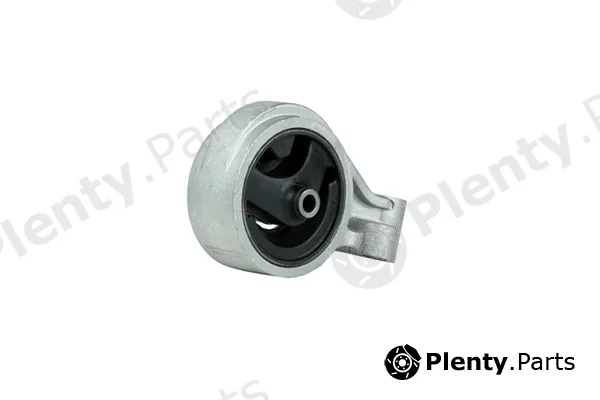 zentparts Z13318 — Mounting, engine