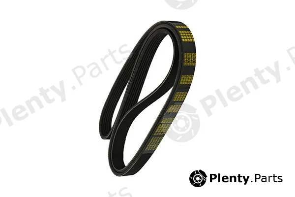zentparts Z22669 — V-Ribbed Belt