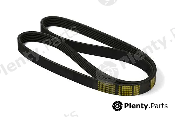 zentparts Z22611 — V-Ribbed Belt