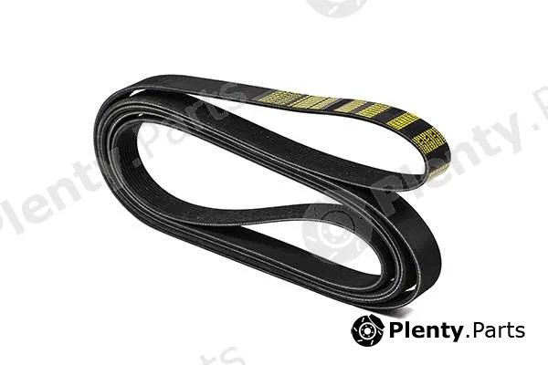 zentparts Z23050 — V-Ribbed Belt