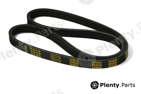 zentparts Z22516 — V-Ribbed Belt