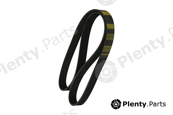 zentparts Z22977 — V-Ribbed Belt