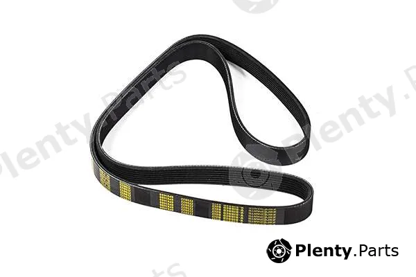 zentparts Z23022 — V-Ribbed Belt