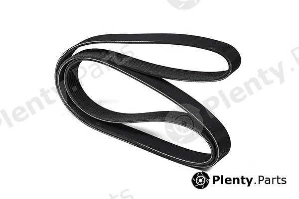 zentparts Z23006 — V-Ribbed Belt