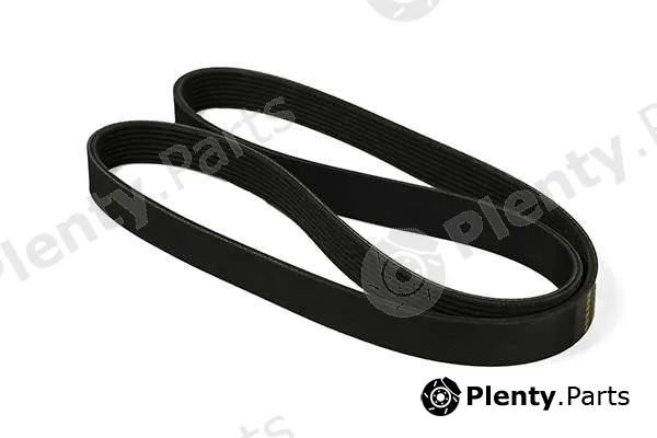 zentparts Z23019 — V-Ribbed Belt