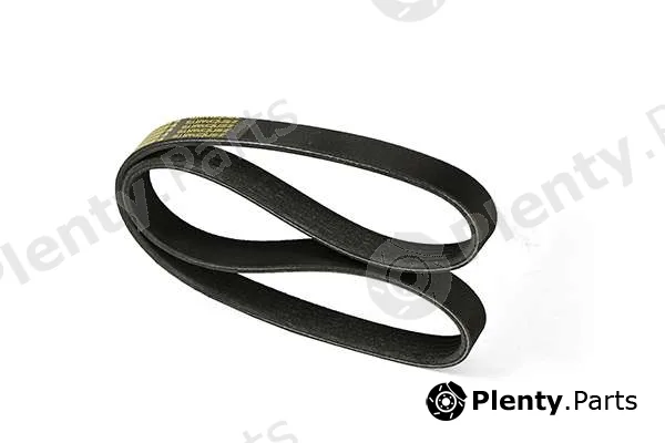 zentparts Z22578 — V-Ribbed Belt