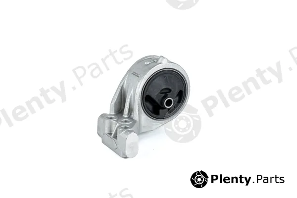 zentparts Z13454 — Mounting, engine