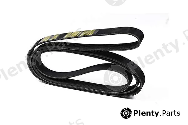 zentparts Z23047 — V-Ribbed Belt