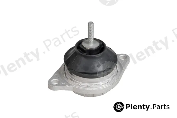 zentparts Z13125 — Mounting, engine