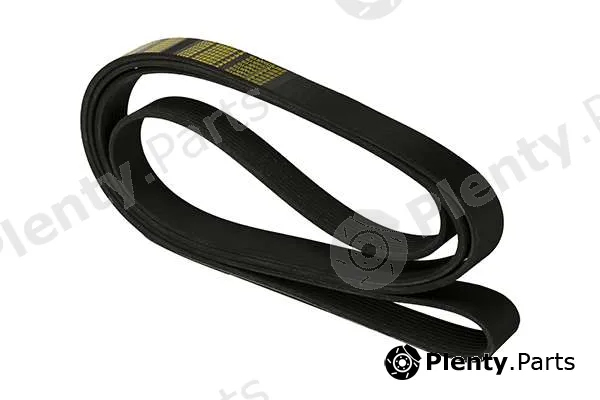zentparts Z22980 — V-Ribbed Belt