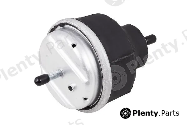 zentparts Z13101 — Mounting, engine