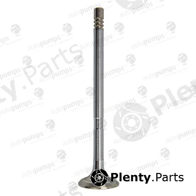 Autopumps UK AEV11050 — Exhaust Valve