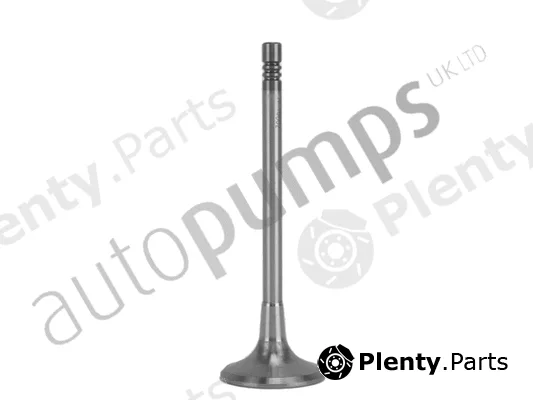 Autopumps UK AIV11001 — Intake Valve