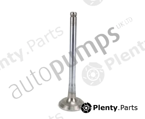 Autopumps UK AEV9319 — Exhaust Valve