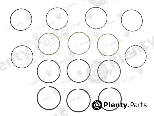 Autopumps UK A2045 — Piston Ring Kit