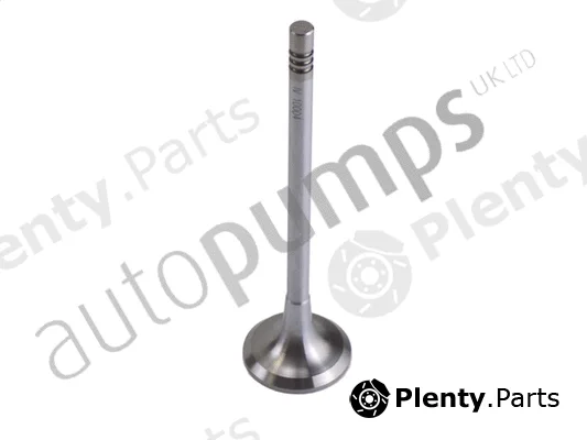 Autopumps UK AIV11003 — Intake Valve