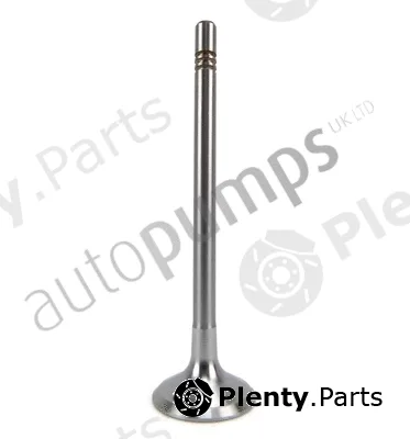 Autopumps UK AIV11005 — Intake Valve