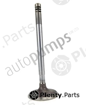 Autopumps UK AIV5419 — Intake Valve