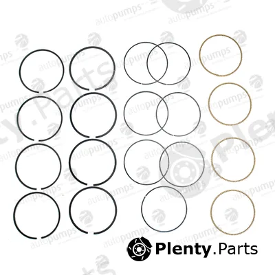 Autopumps UK A2043 — Piston Ring Kit