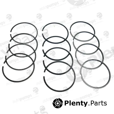 Autopumps UK A2040 — Piston Ring Kit