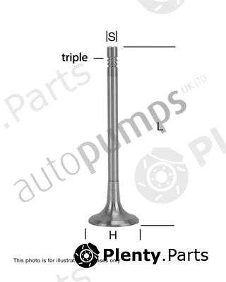 Autopumps UK AIV11006 — Intake Valve
