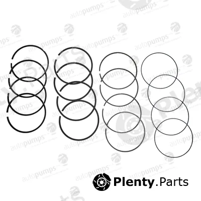 Autopumps UK A2041 — Piston Ring Kit