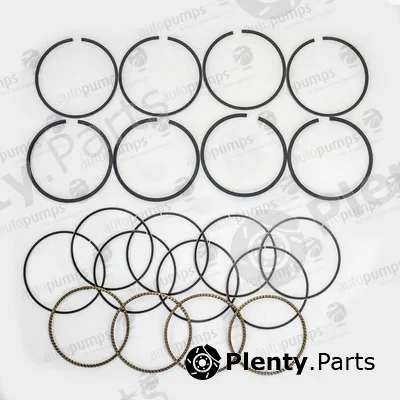Autopumps UK A2039 — Piston Ring Kit